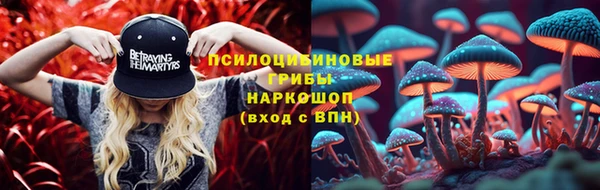 тгк Бугульма