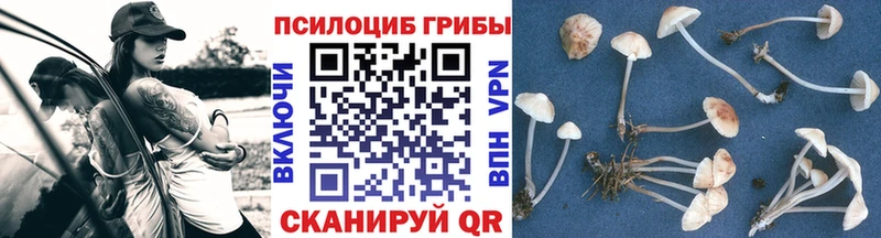 Купить где  Белоозёрский  Псилоцибиновые грибы мухоморы 